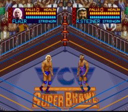 WCW SuperBrawl Wrestling screen shot 3 3