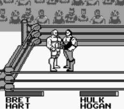 WWF King of the Ring GB Screenshot 2