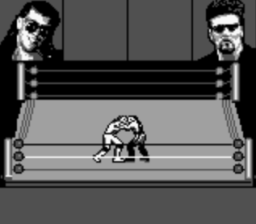 WWF Raw GB Screenshot 2