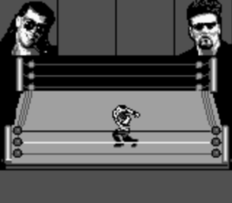 WWF Raw GB Screenshot 3