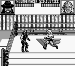 Wwf Superstars Pictures