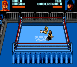 WWF Wrestle Mania Steel Cage Challenge screen shot 2 2