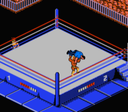 WWF Wrestlemania Challenge screen shot 3 3