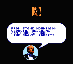 WWF Wrestlemania Steel Cage Challenge NES Screenshot 2