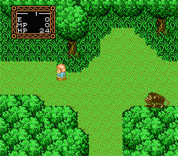 Willow NES Screenshot 3