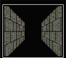 Wizardry: Knight Of Diamonds NES Screenshot Screenshot 2