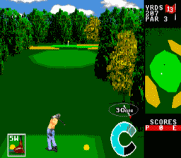 World Class Leader Board Golf screen shot 3 3
